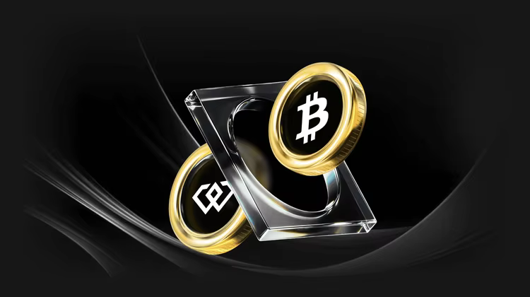 Điều gì là Fogo($FOGO)? $FOGO có sẵn trên WEEX Pre-Market